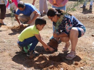 Cabildo infantil planta 50 árboles