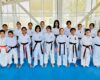 Competirán 29 artemarcialistas en campeonato de karate en NL